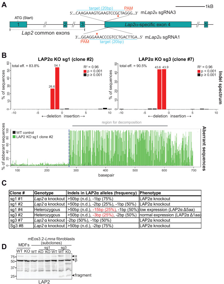 Figure 2—figure supplement 2.