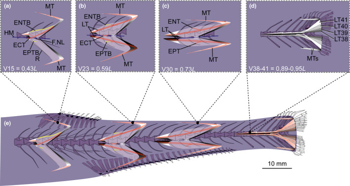 FIGURE 16