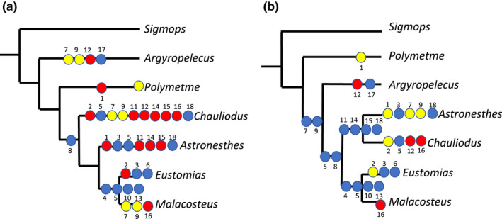 FIGURE 23