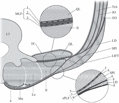 Fig. 10