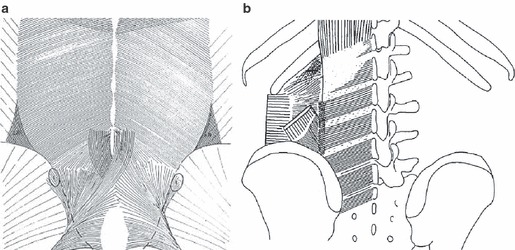 Fig. 15