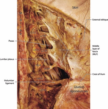 Fig. 17