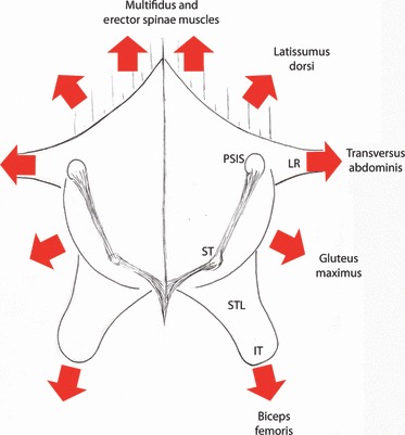 Fig. 19