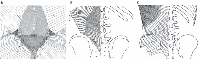 Fig. 14