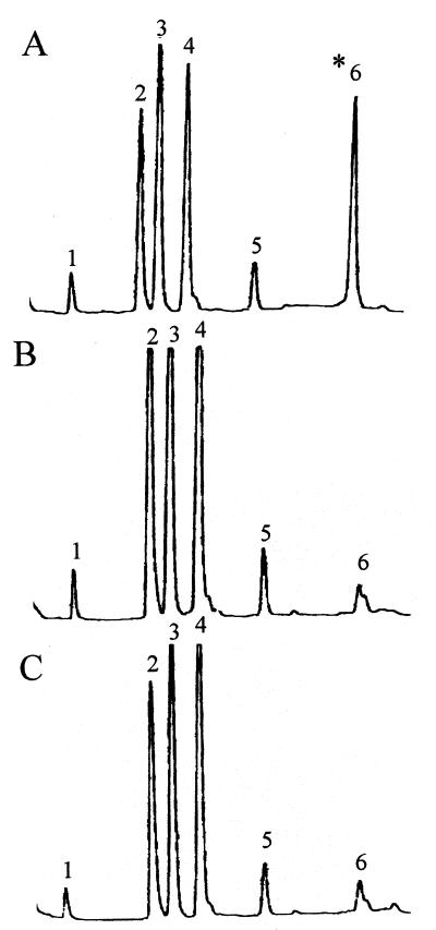 FIG. 5