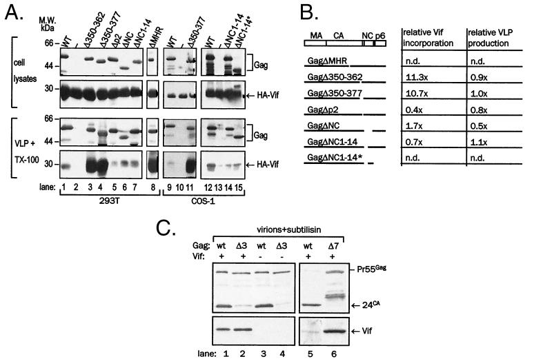 FIG. 7