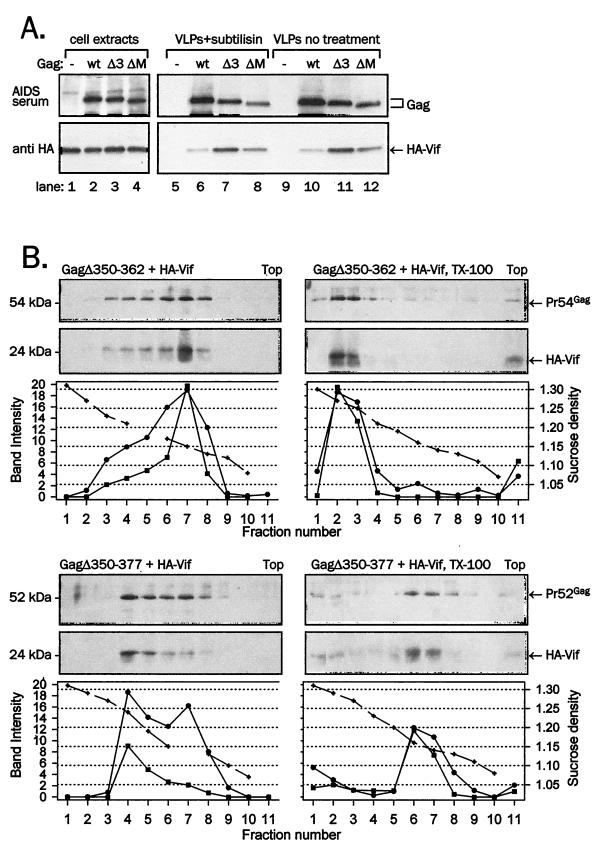 FIG. 8