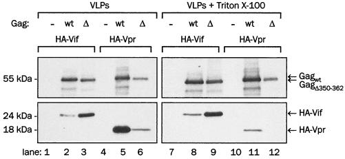 FIG. 9