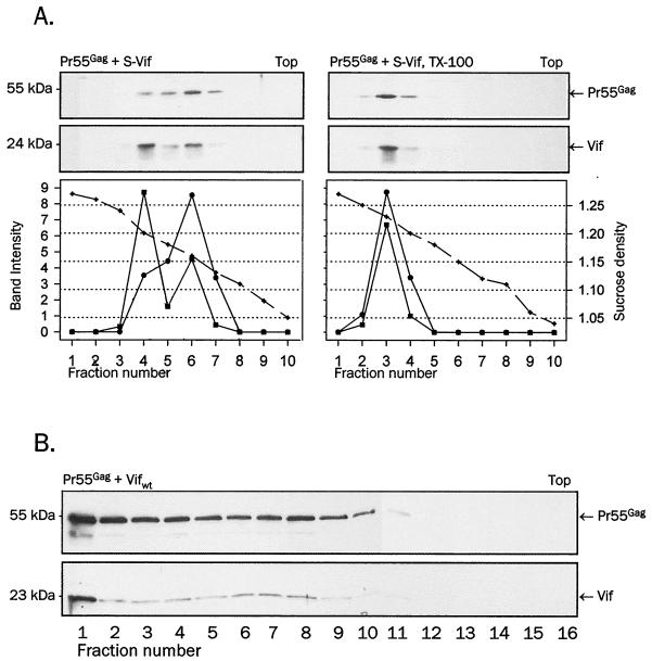 FIG. 6