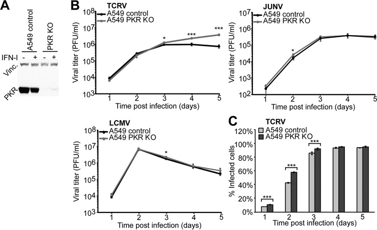 FIG 6