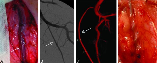 Fig 2.