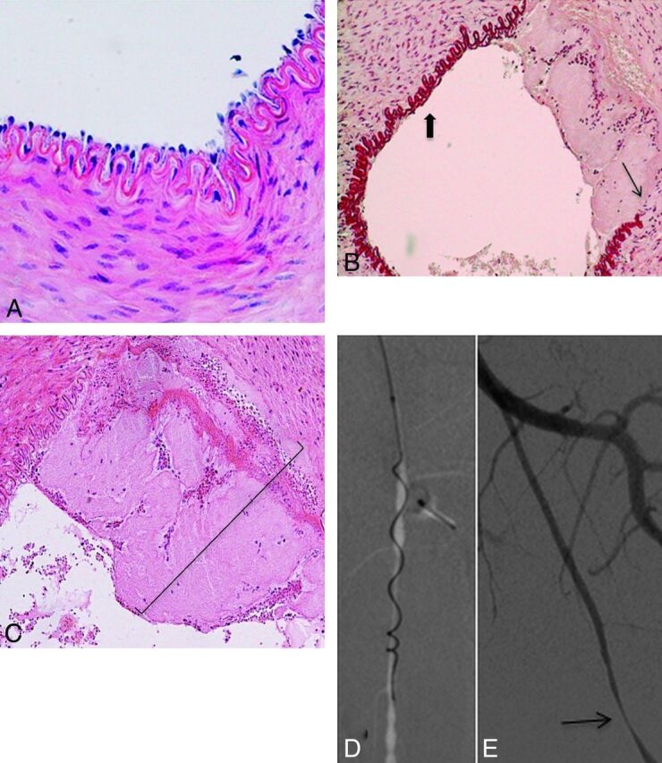 Fig 5.