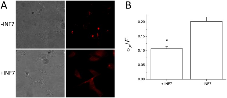 Fig 8