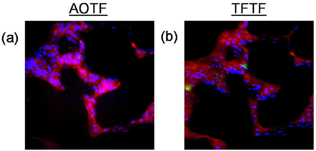 Figure 3: