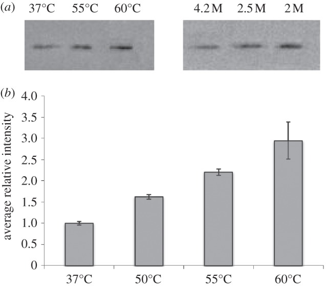 Figure 2.