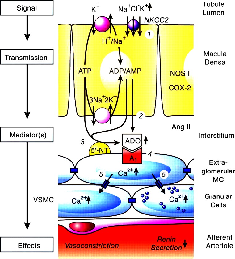 Fig. 2