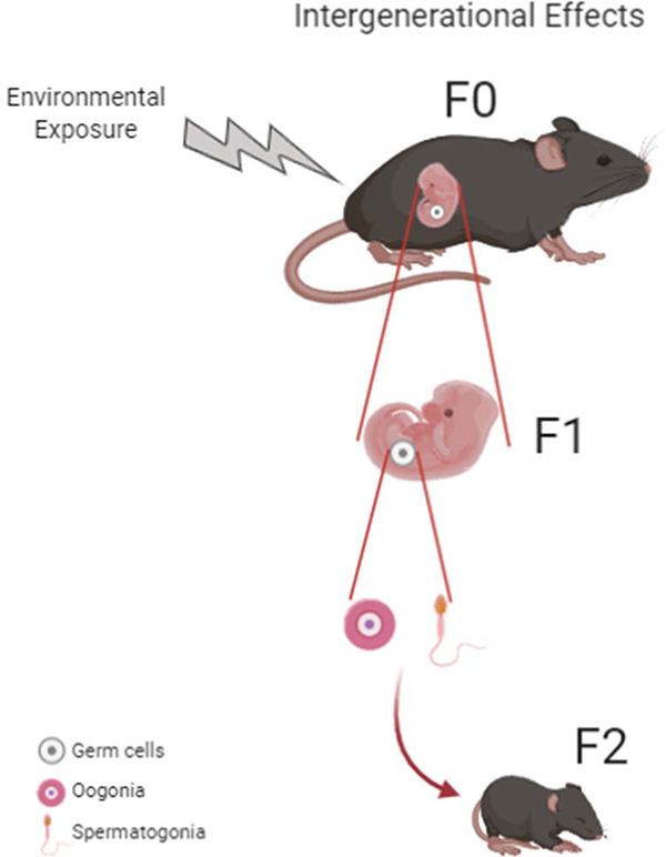 Fig 1: