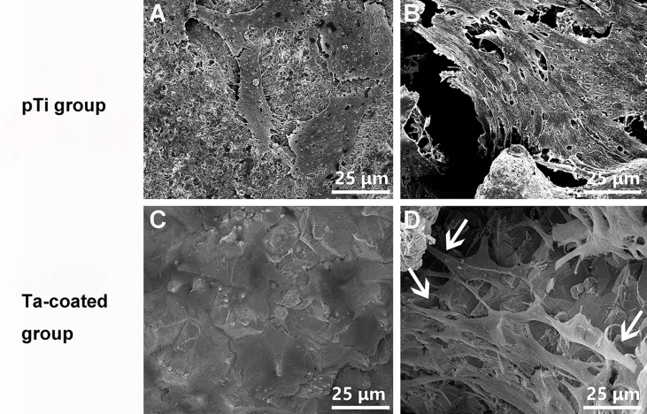 Fig. S1