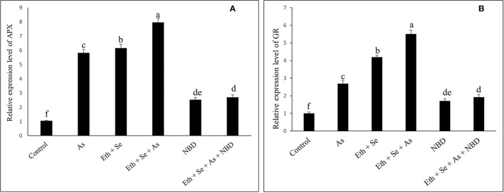 Figure 5