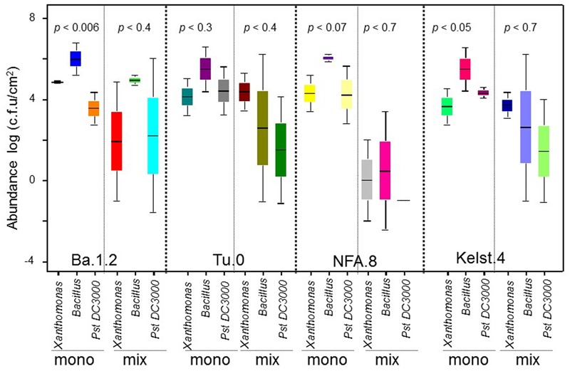 FIGURE 4