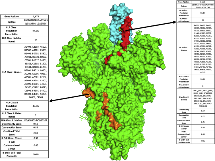 Figure 2