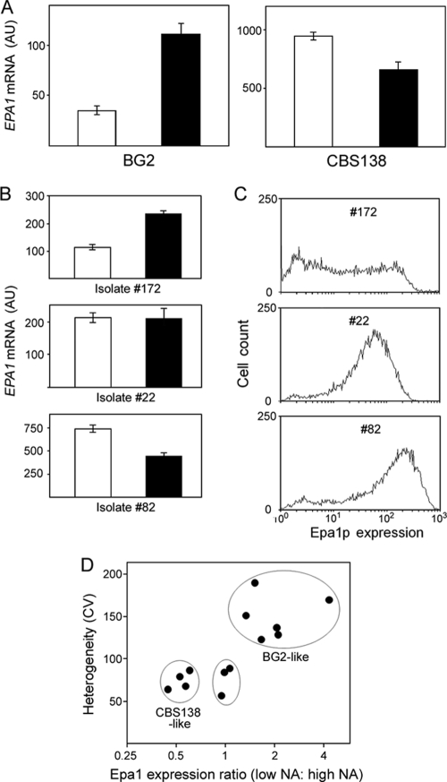 Fig 8