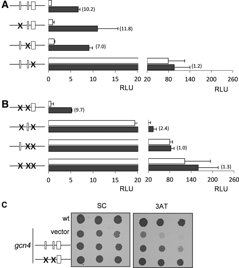 FIGURE 5.