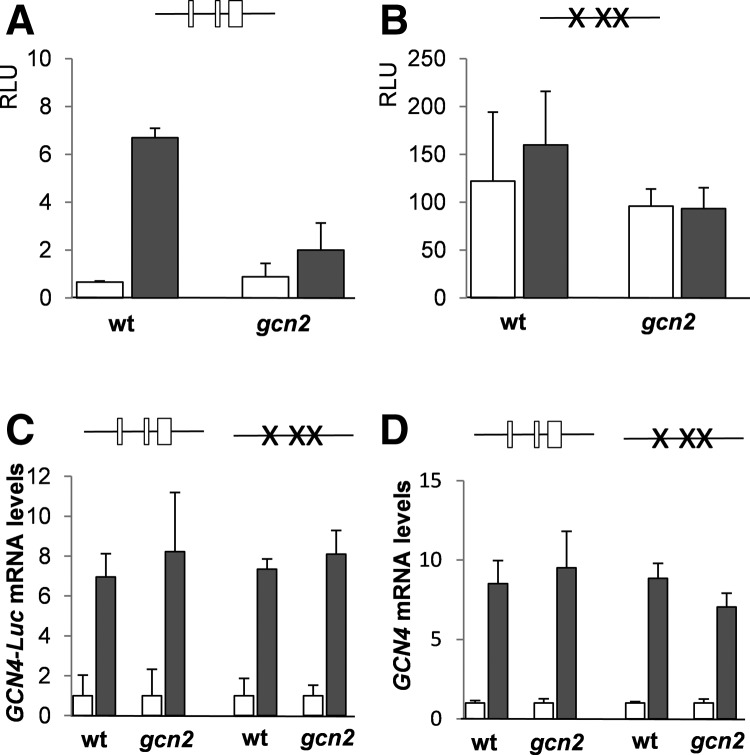 FIGURE 4.