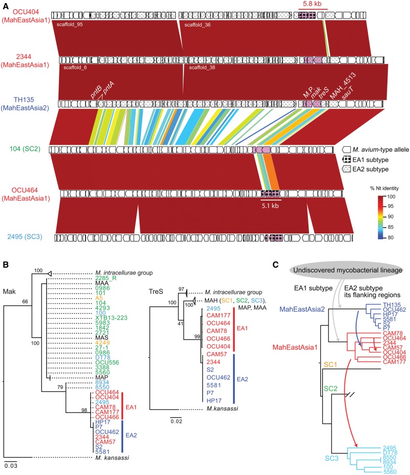 Fig. 6.