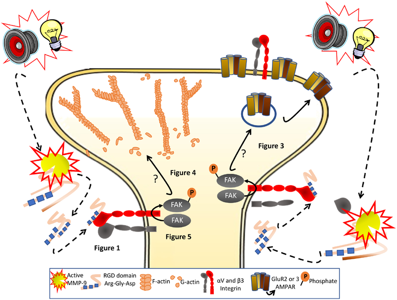 Figure 7.