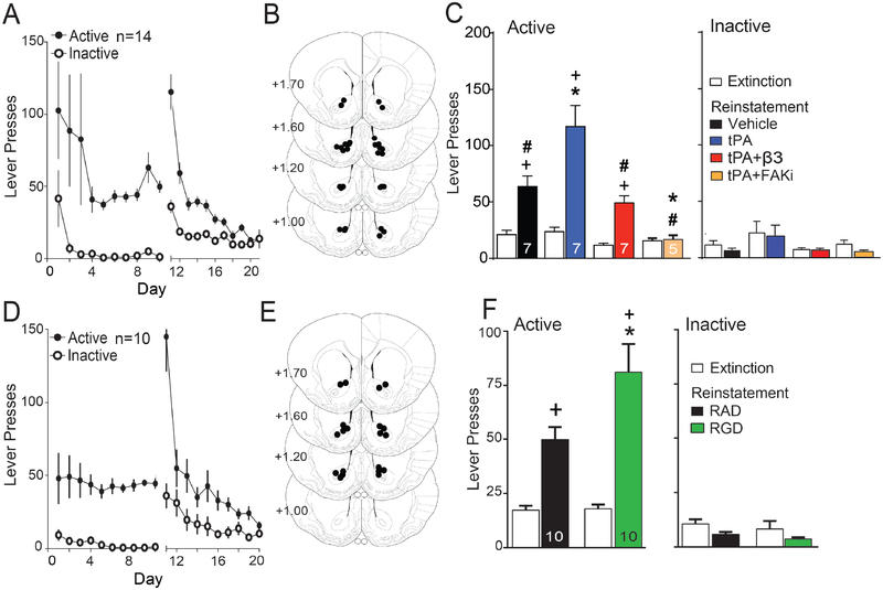 Figure 6: