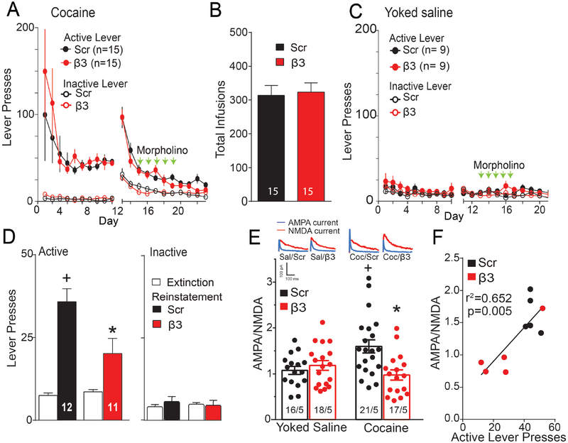 Figure 3: