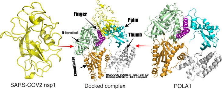 Fig. 8: