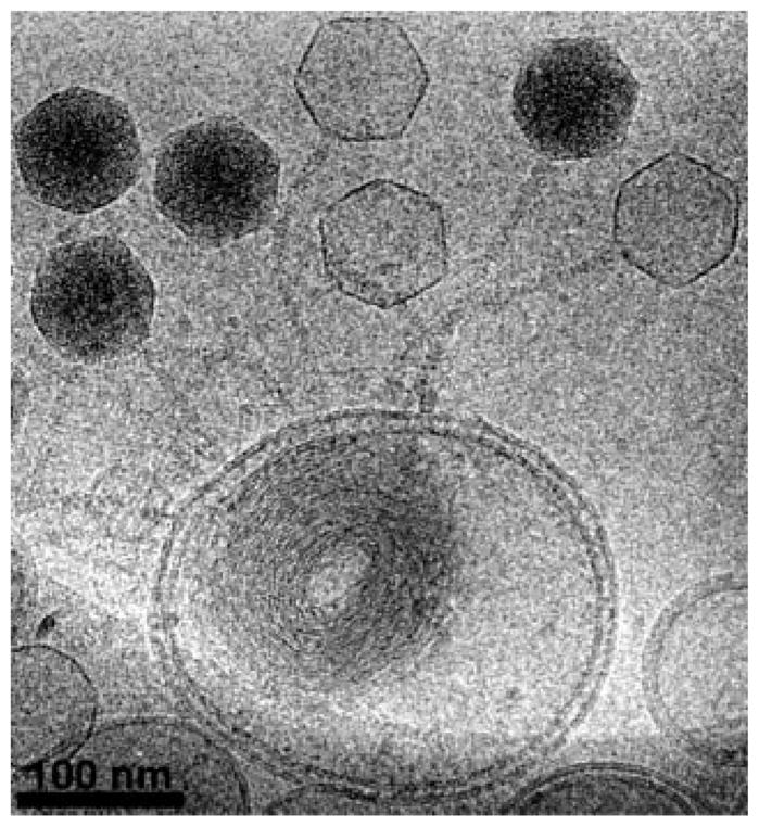 FIGURE 3