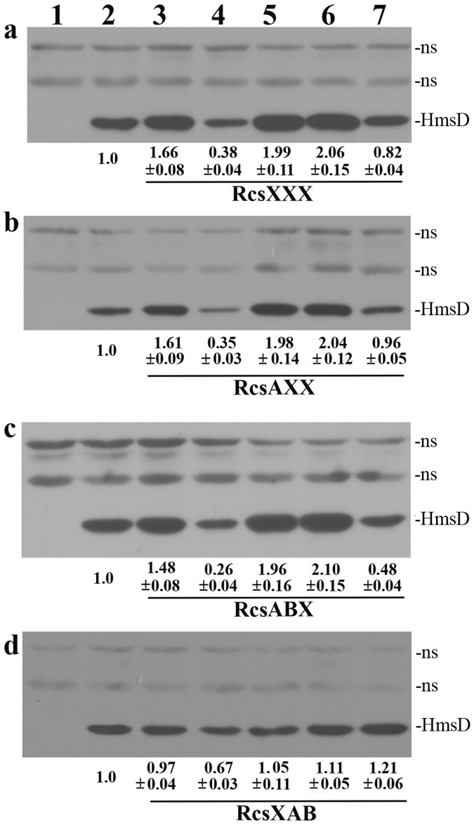 Figure 5