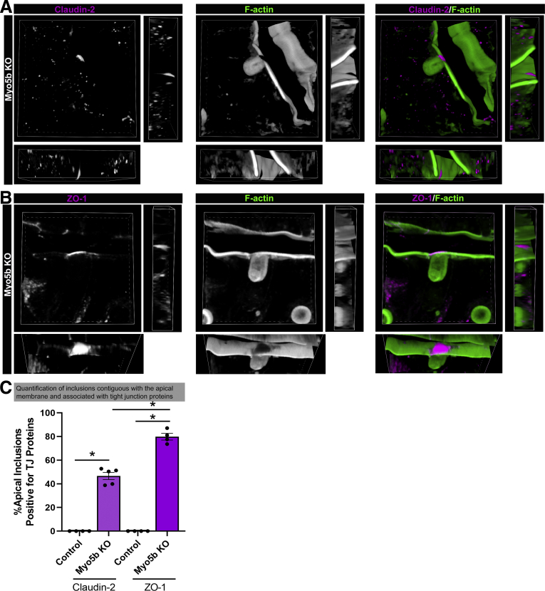 Figure 6