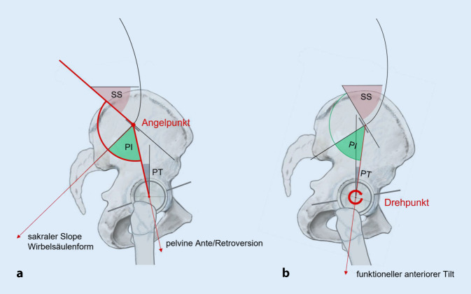 graphic file with name 132_2022_4321_Fig3_HTML.jpg