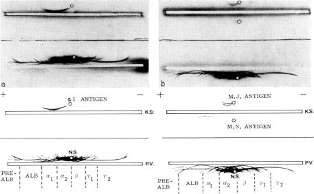 FIG. 8