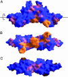 Fig. 4.