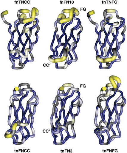 FIGURE 4