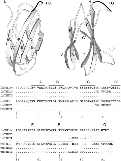 FIGURE 1