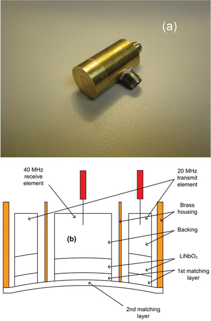 Fig. 1