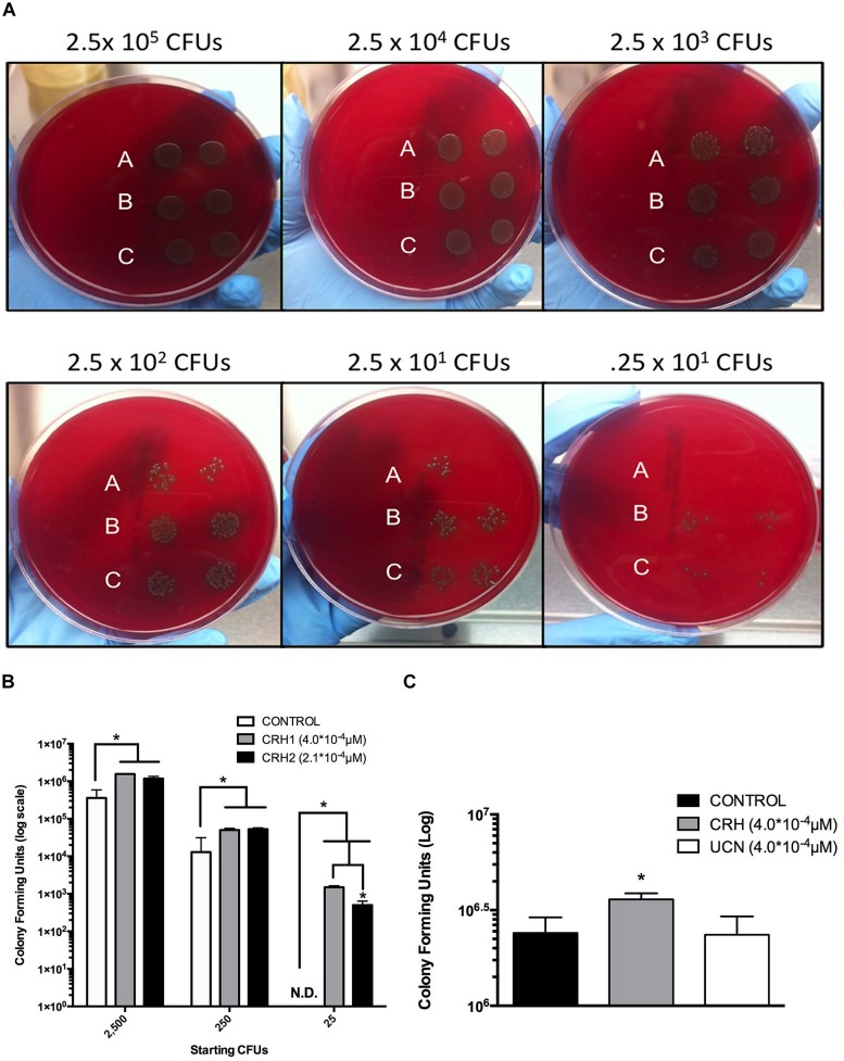 FIGURE 2