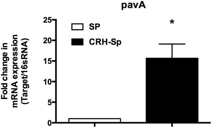 FIGURE 4