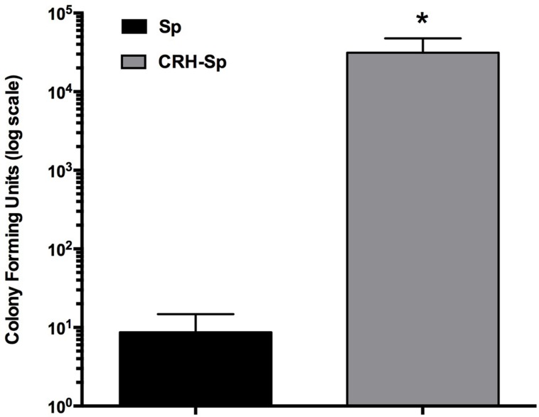 FIGURE 1