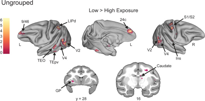 Figure 5.