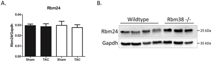 Fig 5