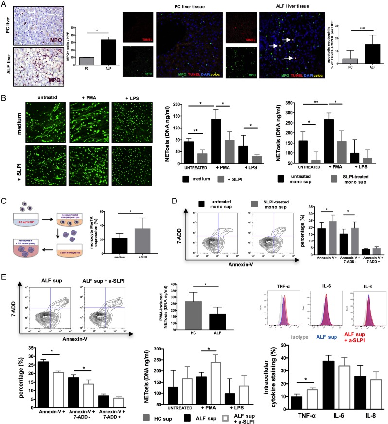 Figure 6