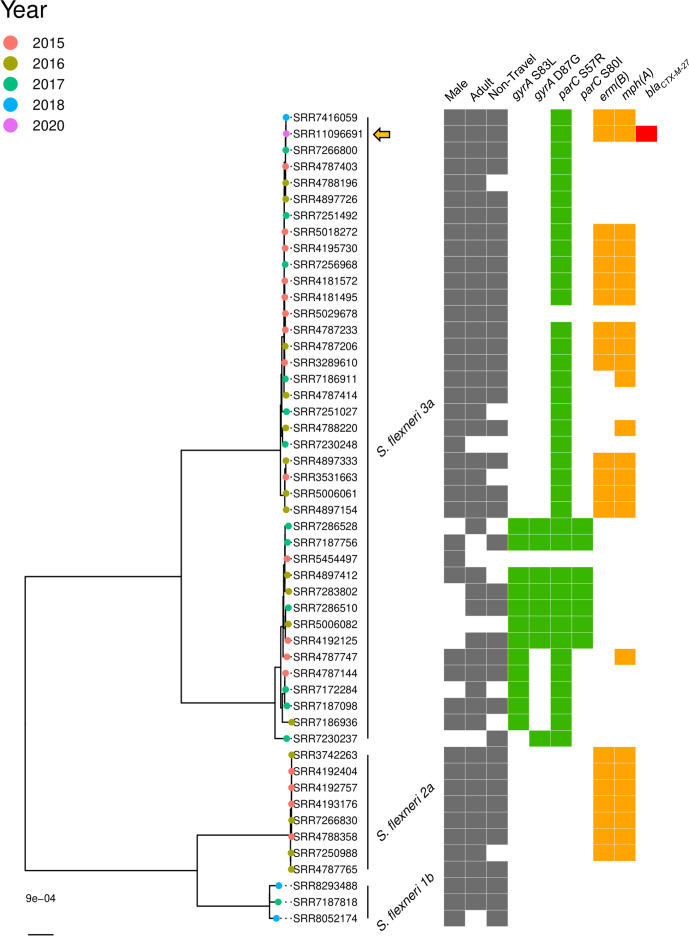 Fig. 3.