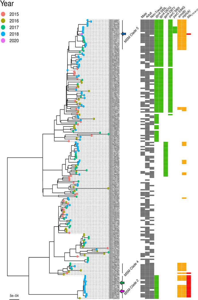 Fig. 4.